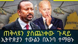 መንግስትን ያስጨነቀው ጉዳይ / abel birhanu / feta daily / zehabesha / Ethiopian amharic news