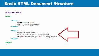 Basic structure of an HTML document