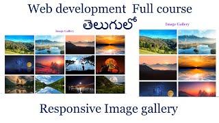 Responsive Image Gallery  html css javascript | Image Gallery html css | Responsive Image Gallery