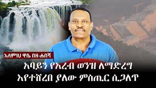 Alemneh Wase BeZehabesha - (አለምነህ ዋሴ በዘ-ሐበሻ) -  አባይን የአረብ ወንዝ ለማድረግ እየተሸረበ ያለው ምስጢር ሲጋለጥ