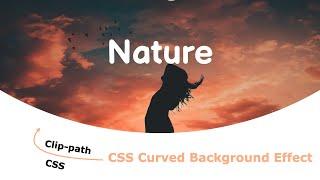 CSS Curved Background Effects  | CSS3 Clip-path