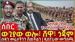 Ethiopia - ውጊያው ወሎ፣ ሸዋ፣ ጎጃም፣ ሥለውጊያው የመከላከያ መግለጫ፣ ሱዳን መሬታችንን ሸጠችልን፣ ዲስፖራው መግለጫ