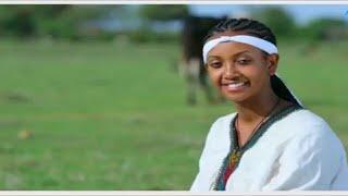 ጎጃም ጎንደር ዘና ፈታ ደስ እሚል ሙዚቃ(Best Musics of Gojam and Gonder Ethiopia) (Official video)