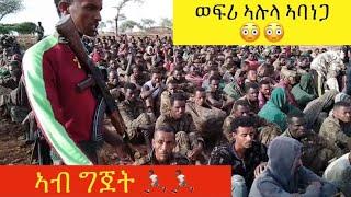 TDF | ወፍሪ ኣሉላ ኣባነጋ ????????‍♂️???????? | ኣብ ግጀት ???????????????? | Tigray defense force | Tigrigna