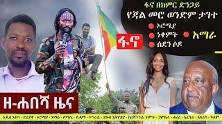 Ethiopia: ዘ-ሐበሻ የዕለቱ ዜና | Zehabesha 12 Daily Ethiopian News November 27, 2023