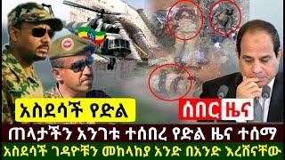 Ethiopia:ሰበር | አስደሳች የድል ዜና ጠላታች አንገቱን ደፋ ዛሬ መከላከያ ሰራዊታችን ገዳዮ.ቹን  አንድ በአንድ ደመሰሳቸው | Abel Birhanu