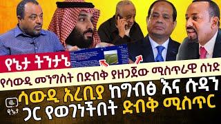 የሳውዲ መንግስት በድብቅ ያዘጋጀው ሚስጥራዊ ሰነድ | ሳውዲ አረቢያ ከግብፅ እና ሱዳን ጋር የወገነችበት ድብቅ ሚስጥር