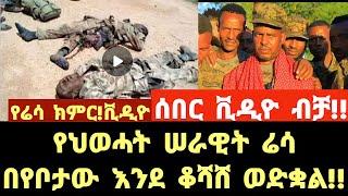 ሰበር ቪዲዮ|የህወሓት ሠራዊት ሬሳ በየቦታው እንደ ቆሻሸ ወድቋል!!ethiopian news,feta daily news,abel birhanu