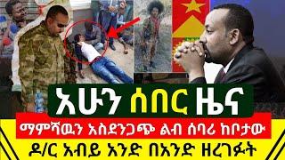 ሰበር መረጃ - ማምሻውን አስደንጋጭ ልብ ሰባሪ አሳዛኝ ሰበር ዜና ዶ/ር አብይ አንድ በአንድ ዘረገፉ እግዚኦ አስደንጋጭ | ከቦታ ተሰማ | Abel Birhanu