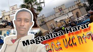 Magaala bareeduu Harar waliin haa Daawwannu ዉቢቷ ከተማ ሀረር አብረን እንቃኛት Gada vlog |Vlogs|vine|Ethio vlogs