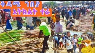 #ቅዳሜ ገበያ||አትክልት ተራ||አሁናዊ የአትክልቶች ዋጋ እና የኬንዳ የእንጀራ ኘላስቲክ ዋጋ!!