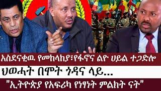 Ethiopia: ልዩ መረጃ - አስደናቂዉ የመከላከያ፣የፋኖና ልዮ ሀይል ተጋድሎ | ህወሓት በሞት ጎዳና ላይ... | "ኢትዮጵያ የአፍሪካ የነፃነት ምልክት ናት"