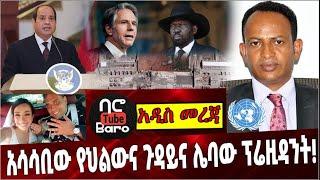 Ethiopia: አሳሳቢው የህልውና ጉዳይና ሌባው ፕሬዚዳንት❗️ Fitsum Arega | Egypt | South sudan | Antoni Blinken | UN