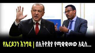 ???? ????የኤርዶጋን እንግዳ | በኢትዮጵያ የሚቋቋመው አዲስ….