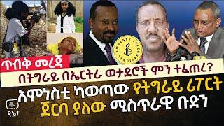 በትግራይ በኤርትራ ወታደሮች ምን ተፈጠረ? አምነስቲ ካወጣው ሪፖርት ጀርባ ማን አለ?