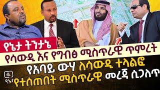 የሳውዲ እና የግብፅ ሚስጥራዊ ጥምረት | የአባይ ውሃ ለሳውዲ ተላልፎ የተሰጠበት ሚስጥራዊ መረጃ ሲጋለጥ