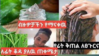 ????አስገራሚ የሬት ቅጠል /alovera gel/ የዉበት ጠቀሜታዎች /@seifu on ebs/@zena jokers