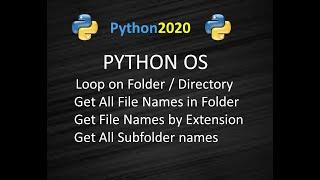 Python Get All the Files in a Directory | Loop through All CSV files in a folder | Python OS Module