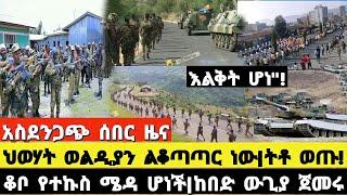 ሰበር ቪዲዮ|ህወሃት ወልዲያን ልቆጣጣር ነው|ትቶው ወጡ!ቆቦ የተኩስ ሜዳ ሆነች|ከበድ ውጊያ ጀመሩ|Ethiopian News|Ethiopia|