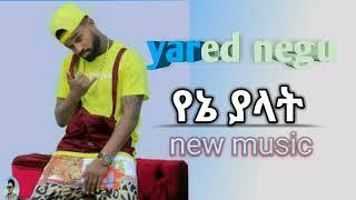 yared negu -የኔ ያላት - new Ethiopia music 2023(office video )