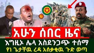 ሰበር - የእነ ጌታቸዉ ረዳ ጦር ጉድ ወጣ እግዚኦ ሁሉም ተጋለጠ | ሌላ አስደንጋጭ ጥቃት ተፈፀመ አሰቃቂ ሆነ ሰበር መረጃ |Abel Birhanu