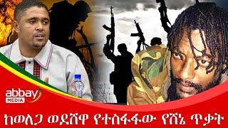 ከወለጋ ወደሸዋ የተስፋፋው የሸኔ ጥቃት. Awde Zena - Dec 28, 2021 | ዓባይ ሚዲያ ዜና | Ethiopia News Today | Abbay Media