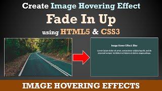 Create Image Hover Effects using HTML and CSS | Fade In Up Effect | tanzTalks.tech