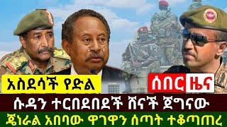 Ethiopia:ሰበር | አስደሳች የድል ዜና ጀግናዉ ጄነራል ዋጋቸውን ሰጠ ሱዳኖች ተርበደበዱ ሙሉ ተቆጣጠረ | የግብፅ ሴራ ይፋ ወጣ | Abel Birhanu