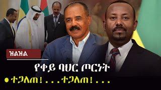 Zilzil (ዝልዝል) -  የቀይ ባህር ጦርነት | ተጋለጠ!...ተጋለጠ!... Red Sea | Ethiopia