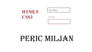 Input Field Animation - HTML5 and CSS3 2022