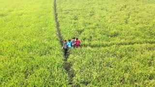 A green field #shorts | Madhob Biswas