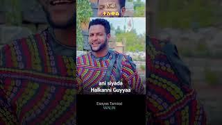 Esayas Tamrat - Walin - ኢሳያስ ታምራት - New Ethiopian Oromo Music 2023