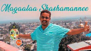 Habtu Girma (Shashe Agape) ሃብቱ ግርማ (ሻሼ አጋፔ) - New Ethiopian Music 2021(Official Video)