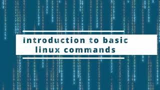 Basic Linux commands you need to know now!!!