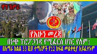 #Ethiopian News #የአሁን መረጃዎች በነጭ ፕሮፖጋንዳ የሚፈርስ ሀገር የለም! | FasilHD | Zehabesha