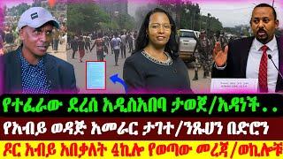 አዲስአበባ የተፈራው አዳነችና አብይ | 4ኪሎ የወጣው | አመራሩ ታገተ ንፁሃን በድሮን | Abel Birhanu | Ethio forum | Ethiopian News