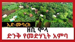 NBC Ethiopia | ኢድ-ሙባረክ-ልዩ የባዕል ዝግጅት | ዘቢ ሞላ አጭር ዶክሜንታሪ