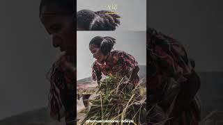 Amanuel Yemane - Adilatni - አማኑኤል የማን - ዓዲላትኒ - New Ethiopian Music 2021