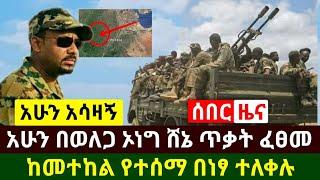 Ethiopia:ሰበር መረጃ | አሁን በወለጋ ጥቃት ተፈፀመ ንፁኋን ሊያልቁ ነው | ከመተከል ሰበር ዜና ተሰማ | Abel Birhanu