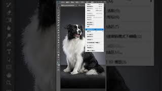 Adobe Photoshop Tutorials   Basic Photoshop Tips for beginner #shorts # 11