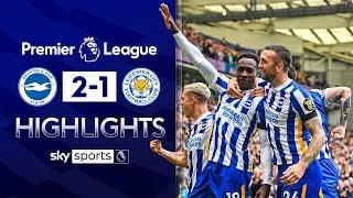 Brighton move to THIRD after impressive win! | Brighton 2-1 Leicester | Premier League Highlights