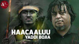 Yaddi Bojia - Haacaaluu - New Ethiopian Oromo Music 2021 (Official Video)