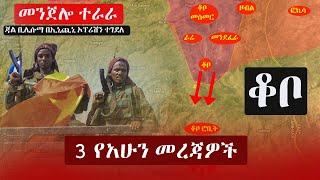 Ethiopia: ዘ-ሐበሻ 3 የአሁን መረጃዎች | Zehabesha 3 Mereja | Addis Tribune