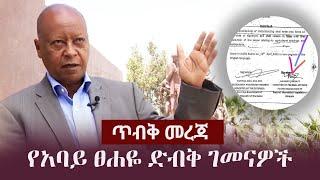 Ethiopia: ጥብቅ መረጃ -  የአባይ ፀሐዬ ድብቅ ገመናዎች | Abay Tsehaye | TPLF | Tigay