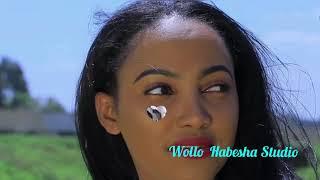 Ethiopian Wollo Music አማሮ ልበልህ  ወሎ