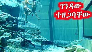 ???? እንደቀልድ ገብተው መውጫ አጡ | Film wedaj | mert film ምርጥ ፊልም | sera film | abel birhanu የወይኗ ልጅ 2