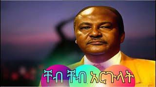 Melkamu Tebeje -  Chebcheb Argulat Instrutmental Cover Best Ethiopian Music