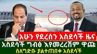 Ethiopia:ሰበር | ግብፅ ጉድሽን ስሚ እየመረረሽም ዋጪ ስለህዳሴ ግድቡ አስደሳች ዜና ተሰማ | Abel Birhanu