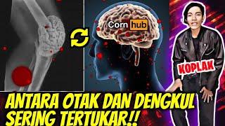 TUTORIAL cara membedakan DENGKUL DAN OTAK..