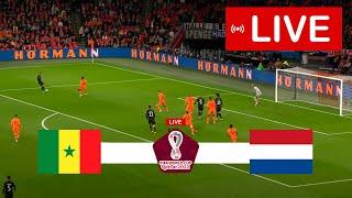 Senegal vs Holland LIVE | FIFA World Cup 2022 - Group B - Round 1 | Full Match LIVE Today